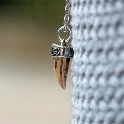 Fort Tempus Collier avec griffe dorée 11 Fort Tempus Collier avec griffe dorée -Colliers Soldes img 0497